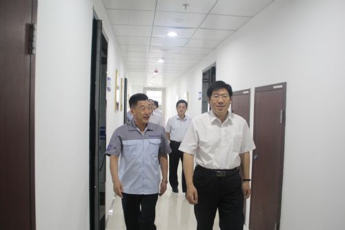 上级领导来我公司考察调研